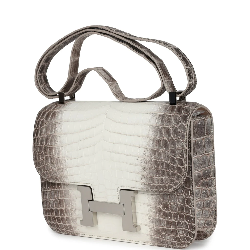 Hermès Constance 1-24 Himalaya Matte Niloticus Crocodile Palladium Hardware - Image 7