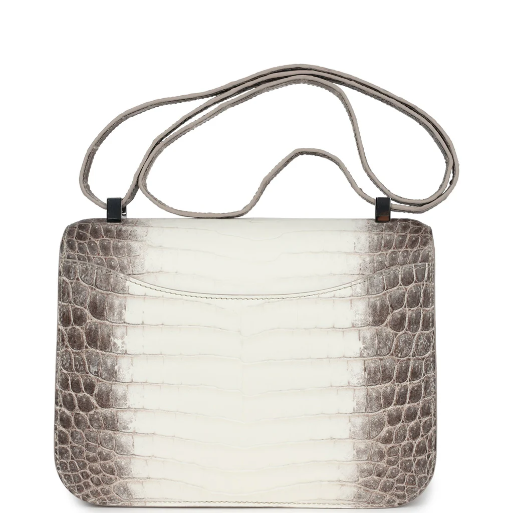 Hermès Constance 1-24 Himalaya Matte Niloticus Crocodile Palladium Hardware - Image 5