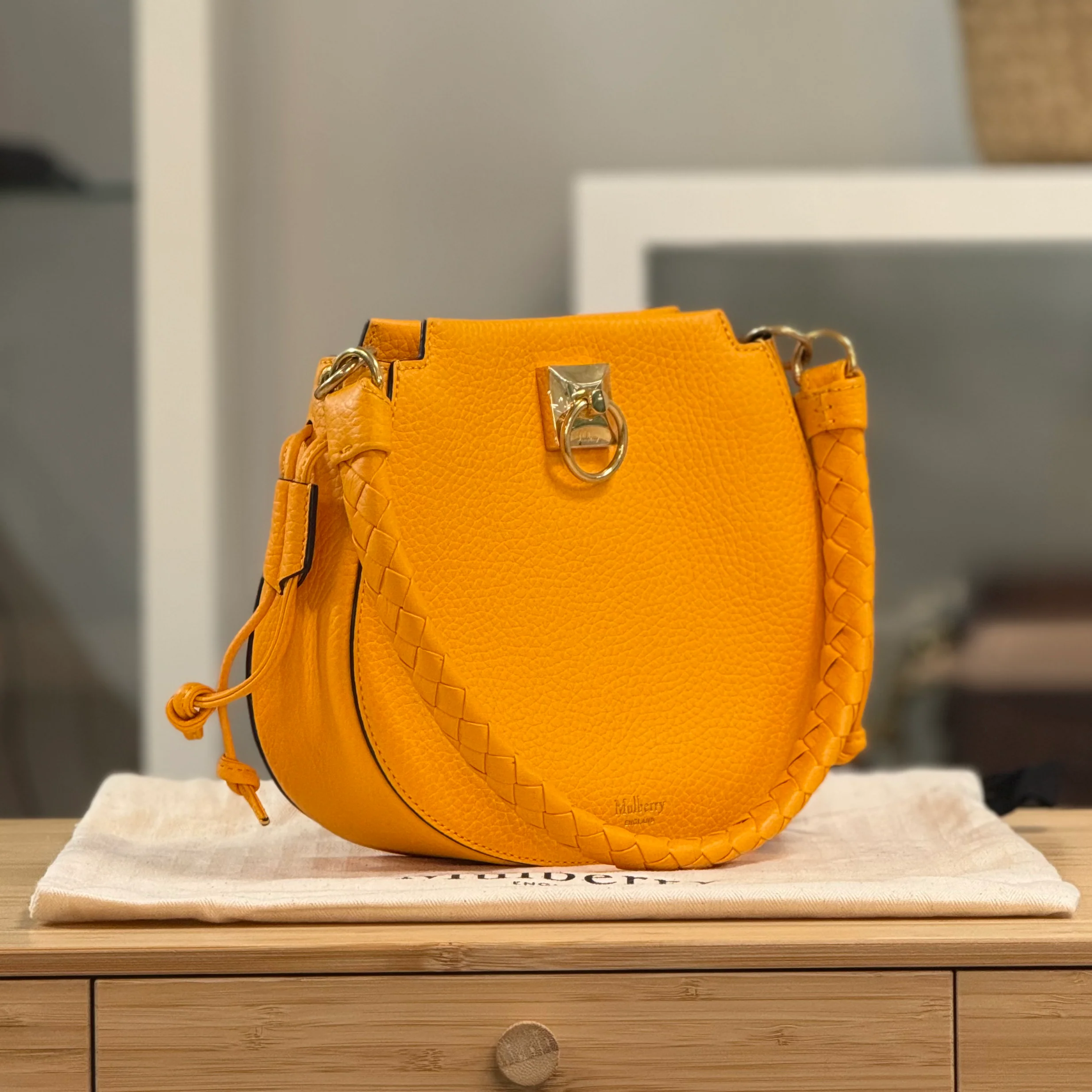 Mulberry Iris Hobo Mini - Image 3