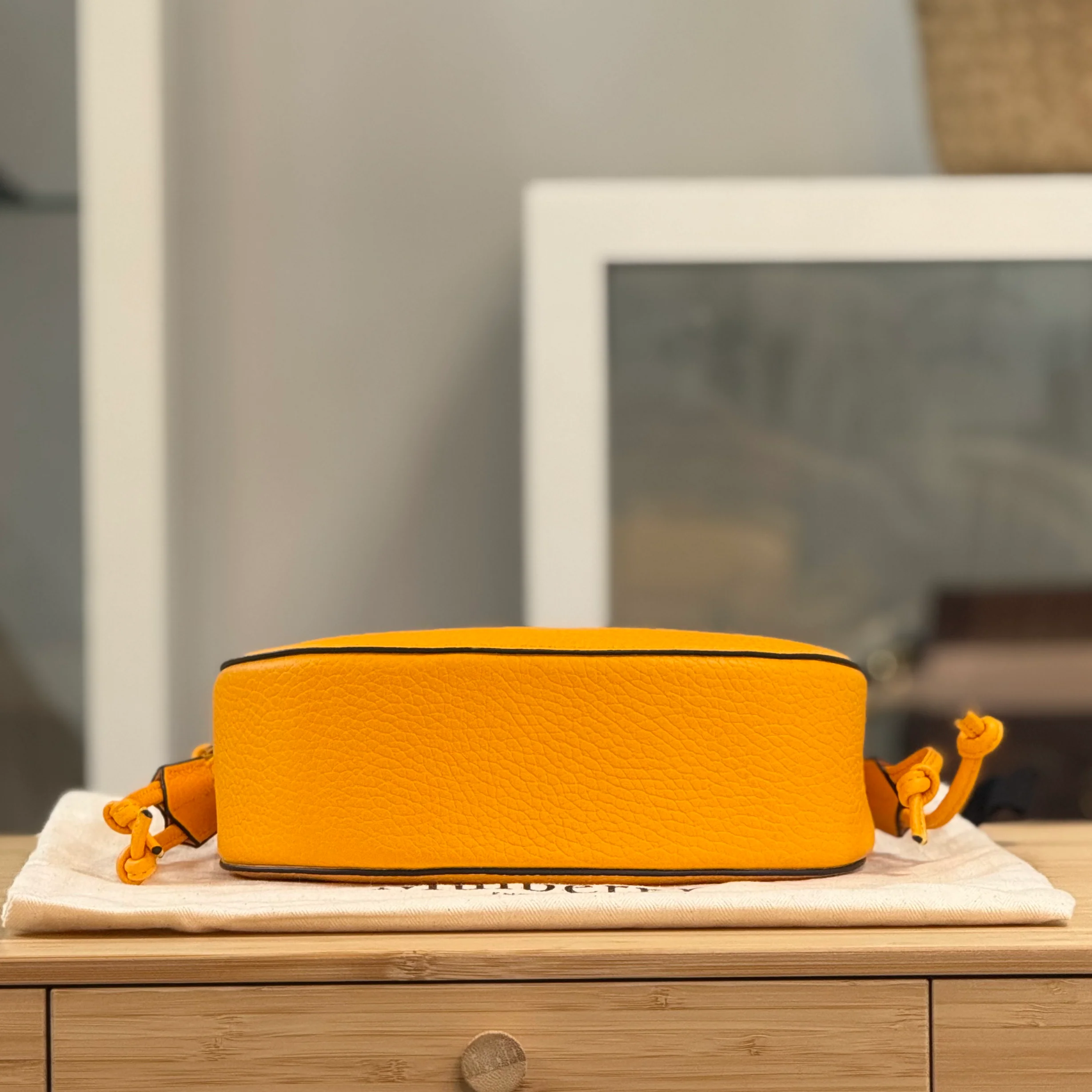 Mulberry Iris Hobo Mini - Image 5