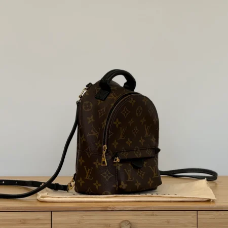 Louis Vuitton Palm Springs Mini Backpack